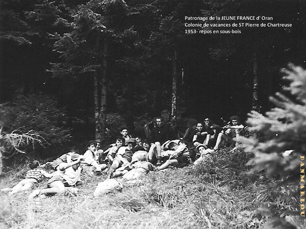 COLO JEUNE FRANCE 1953 repos en sous bois.jpg